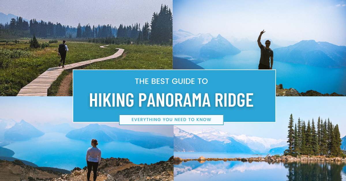 Hiking Panorama Ridge: Everything You Need to Know